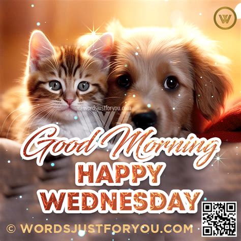 good morning happy wednesday gif|More.